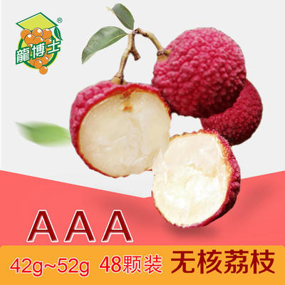 【龍博士】鉅園無核荔枝 至尊果( AAA恐龍蛋) 單果42g-52g 48顆/約4.6斤(2.3kg)