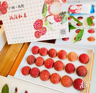 遇見廣州 | 日啖荔枝&ldquo;三百種&rdquo;,吃一顆荔枝品一段故事