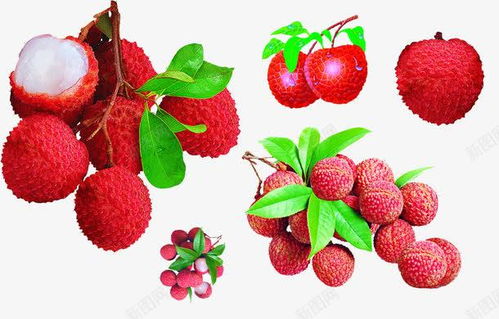 好吃的荔枝 創意素材 荔枝素材