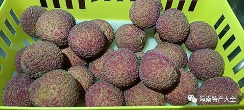 2.3元一顆的海南無(wú)核荔枝,為何賣的這么貴