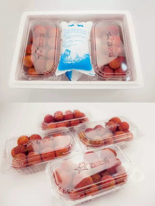 無核荔枝 咬下去，滿口都是肉的美味傳奇