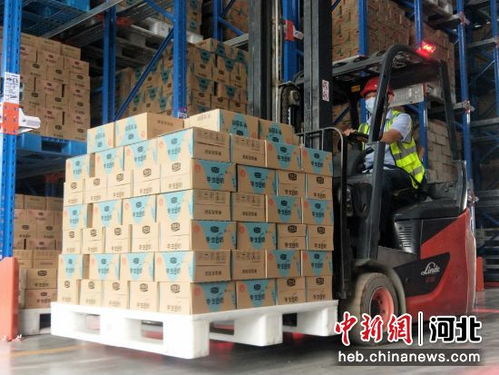 河北威縣依托奶業(yè)推進(jìn)鄉(xiāng)村振興 打造 威縣樣板